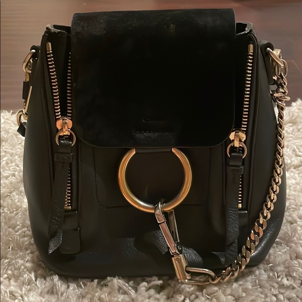 Chole Backpack/ Purse